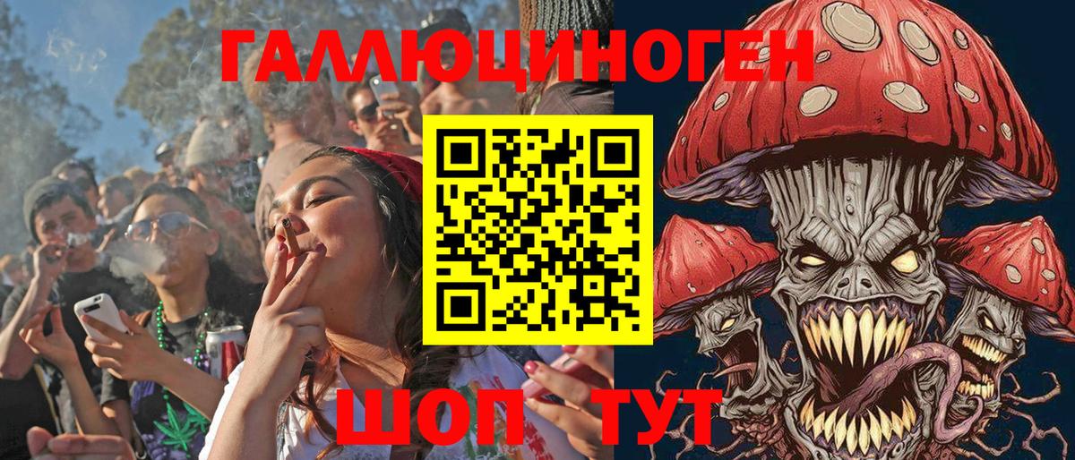 Псилоцибиновые грибы Psilocybe Приморско-Ахтарск